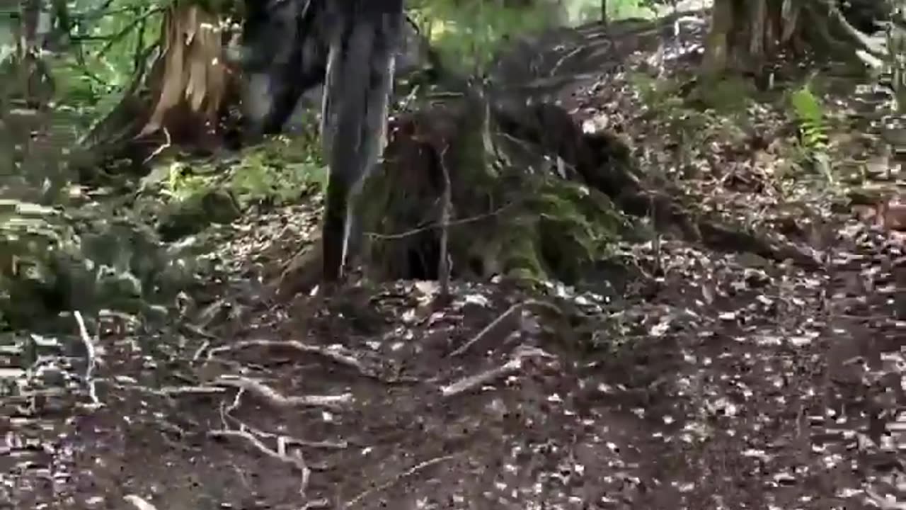 🤩❤️ When Life Aligns Perfectly For Just One Moment | FeedMyCuriosity