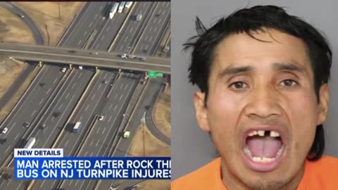 Mexican man Hernando Morales threw a rock through a NJ school bus window fracturing an 8-year-old girl’s skull