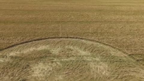 Le crop circle de Cley Hill près de Warminster Wiltshire.