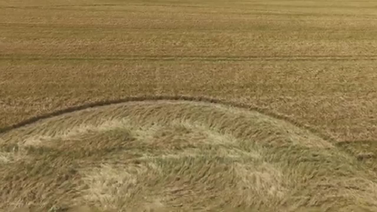 Le crop circle de Cley Hill près de Warminster Wiltshire.
