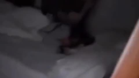 😱👻 The Scariest Creature I've Ever Seen! Windigo | TheHauntingHour