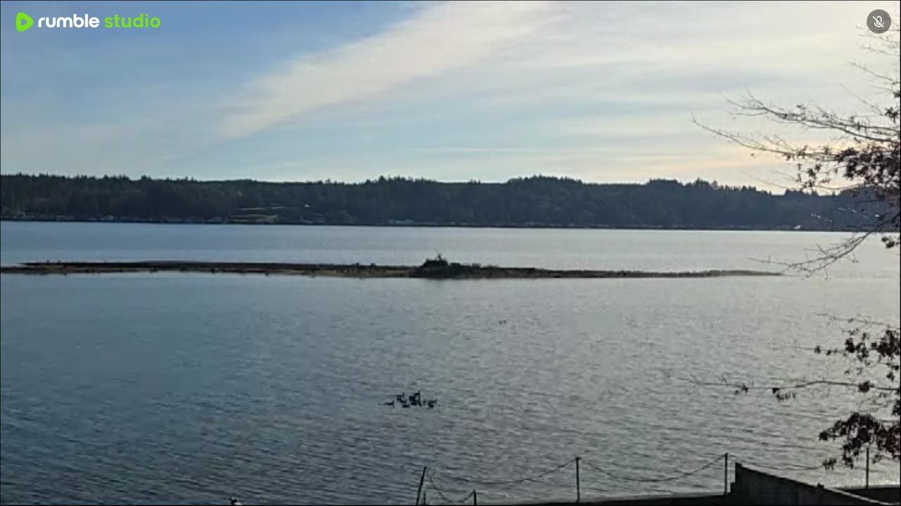 Beautiful November afternoon