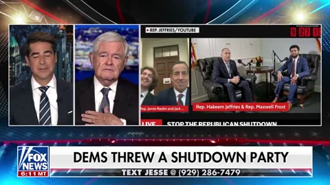 Former Speaker of the House Newt Gingrich UNVEILS the people CALLING THE SHOTS at the DNC