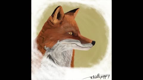 Time-lapse drawing of a fox