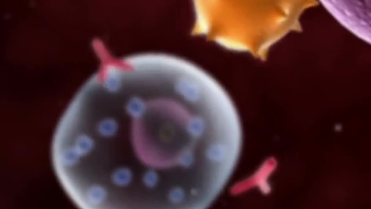 Your Body's Amazing Healing Power