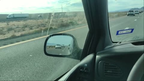 into Nevada With Cat Friend