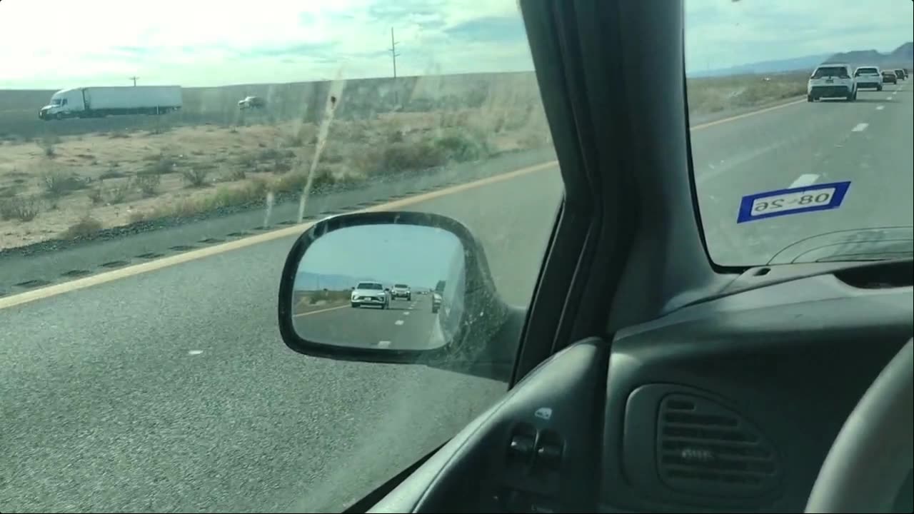 into Nevada With Cat Friend