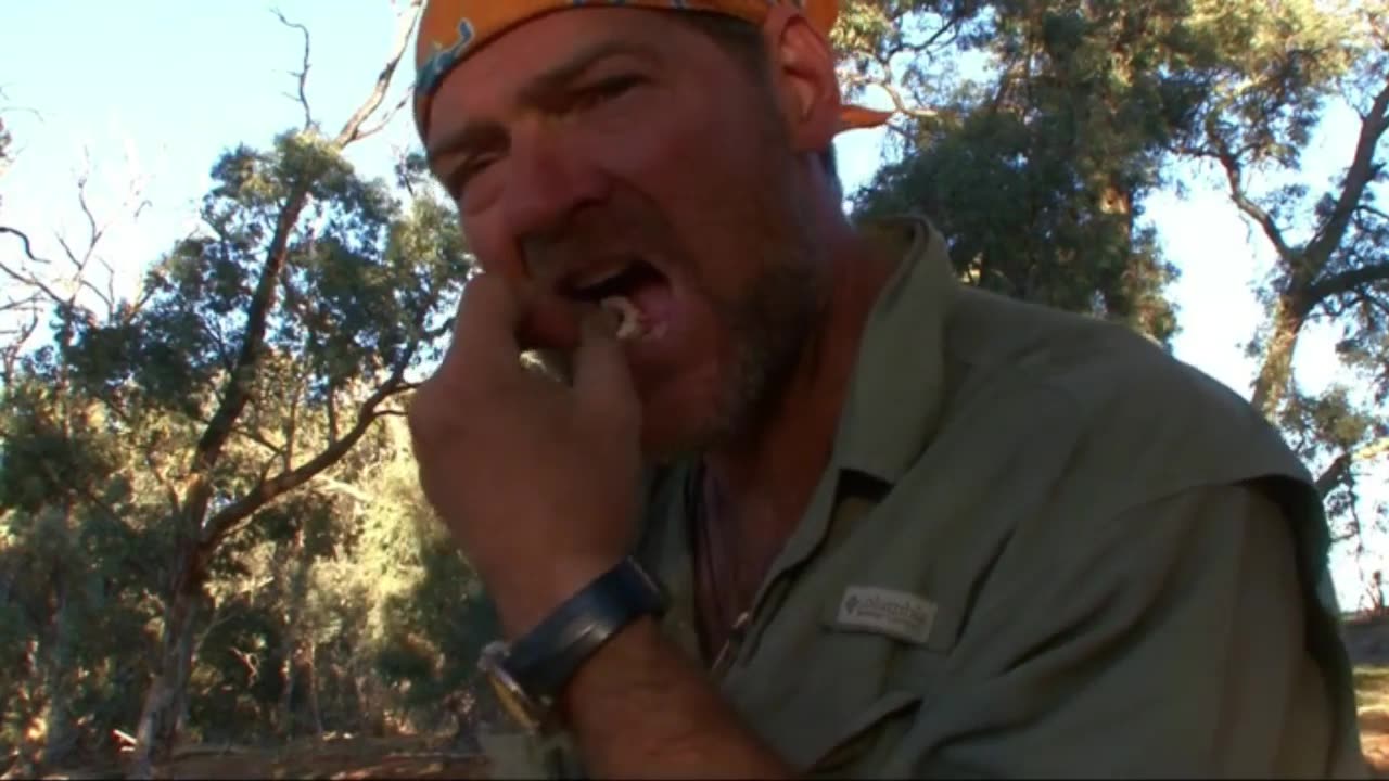 Ｉｎｆｏｒｍａｔｉｖｅ