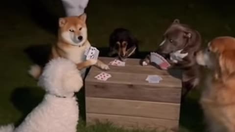 Night out me my friends 🤣 and ghost