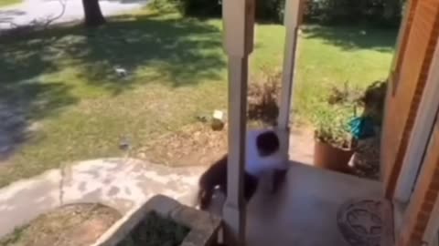 HOMEOWNER SETS TRAP FOR THE THIEF WHO KEEP STEALING HIS PACKAGES😂😂😂