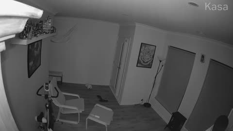 😱💡 Infra-red Light Travelling Across the Room! | TheHauntingHour