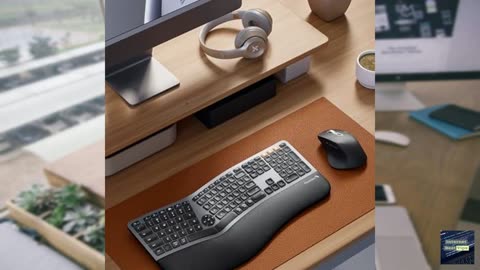 ProtoArc EC 100 Ergonomic Office Chair and EKM01 Plus Ergonomic Wireless Keyboard Mouse
