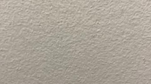 Bible Study of the False Prophet