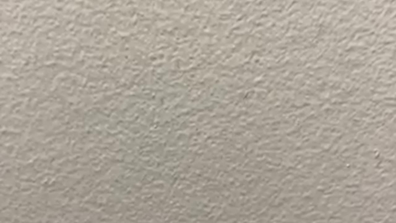 Bible Study of the False Prophet