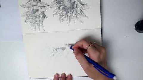 Drawing Sunflowers + Artist Rambles _ Sketchbook Sunday #37