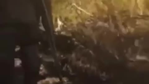 Results of the Russian attempt to storm the positions of the Armed Forces of Ukraine 