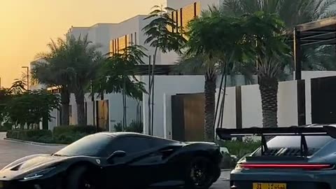 🤯💨 This V12 Sound is PURE Symphony! | LuxurySportsCars