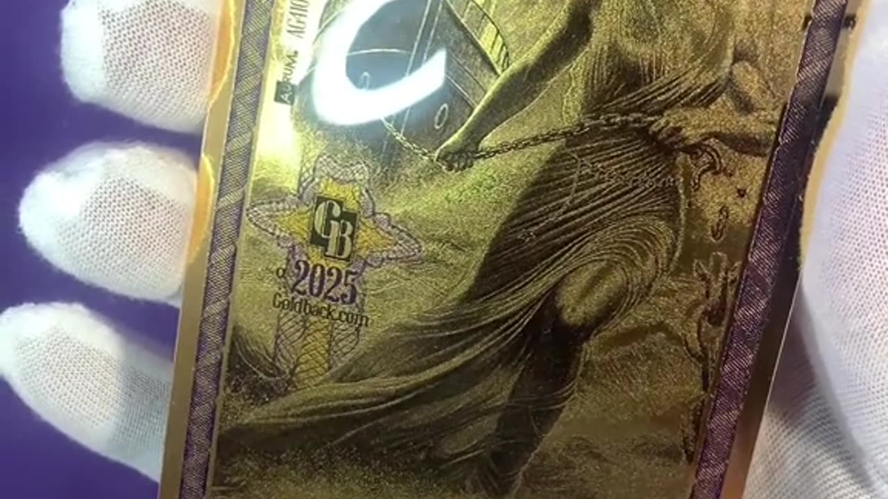 V32 FLORIDA 100 GOLDBACK