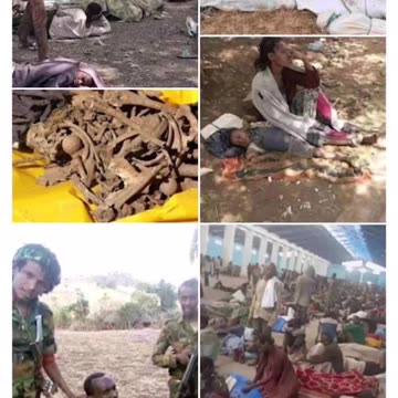 Amhara genocide
