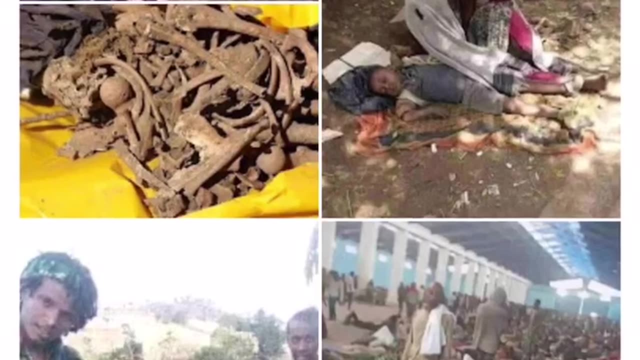 Amhara genocide