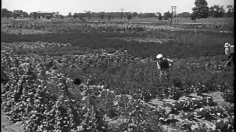 [FORD GARDENS] - [FORD GARDENS] - fc-fc-4189