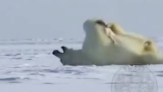 Woe Day 101. I am in the ark. Waiting for GOD to open the Door for a spring/summer Pentecost rapture