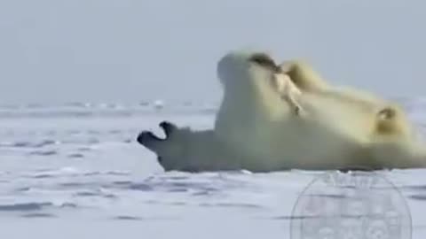 Woe Day 101. I am in the ark. Waiting for GOD to open the Door for a spring/summer Pentecost rapture