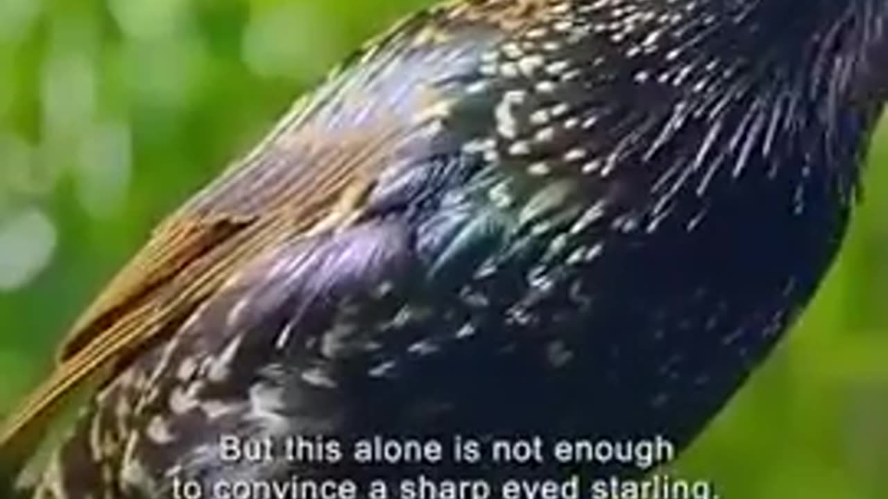 🌿🔍 The Most Fascinating Defence Mechanism In Nature! | FeedMyCuriosity