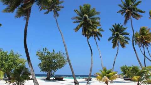 Lakshadweep Islands: Nature's Masterpiece in the Arabian Sea