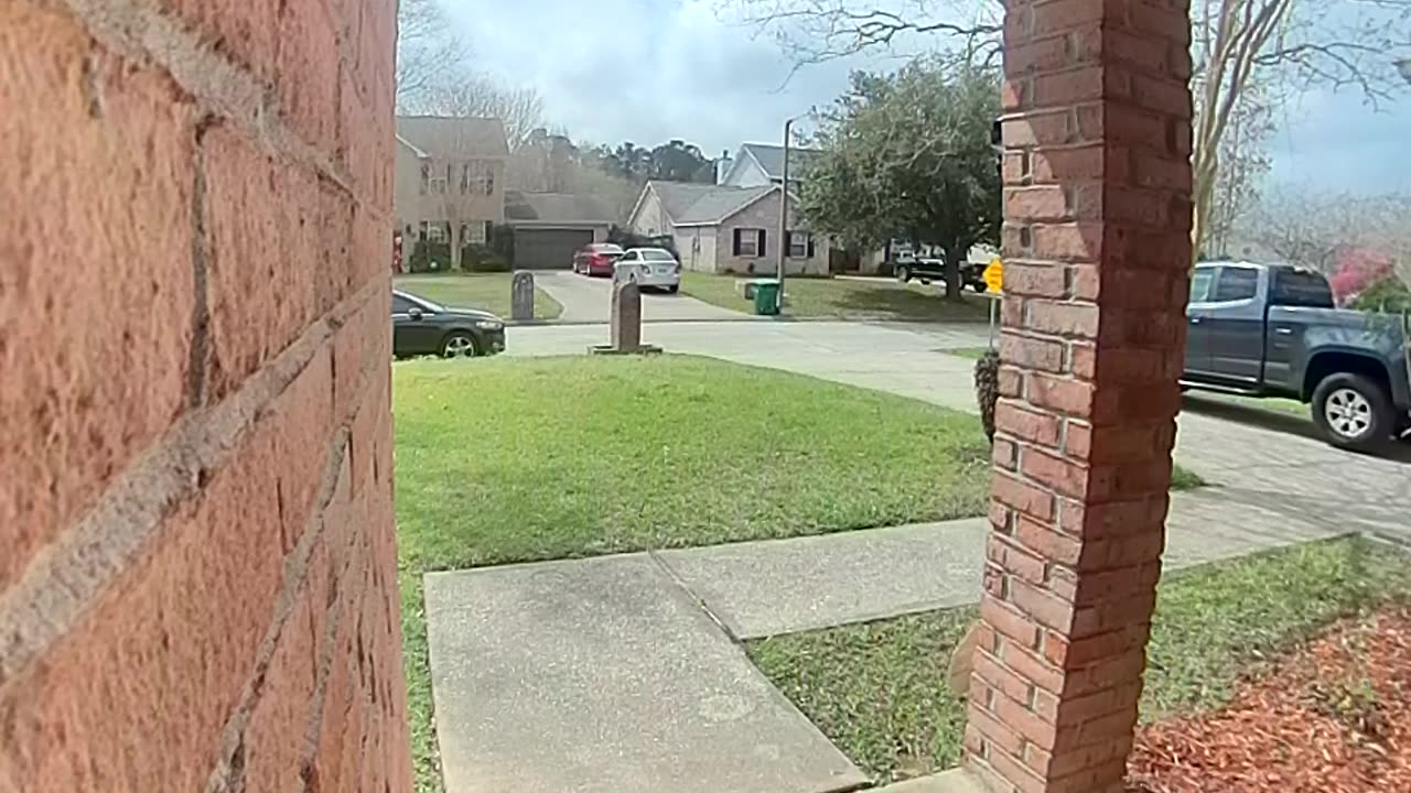 Screaming At Snake Near Doorbell