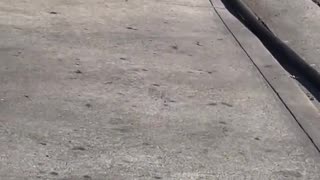 Copper wire thieves are ripping down cables across Los Angeles, knocking out power