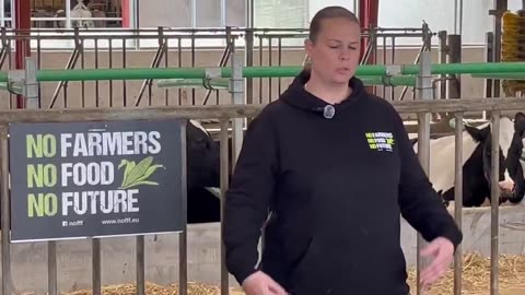 COWS ARE DYING IN DEMARK: Farmers required to feed Bill Gates "BOVAER"