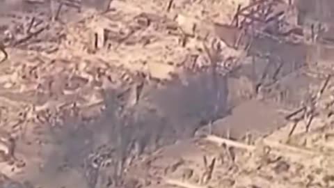 California fire devastation Palisades. People need to be fired