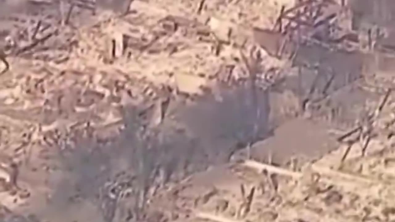 California fire devastation Palisades. People need to be fired