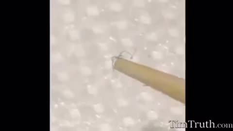 Morgellons fibers in masks and elsewhere!