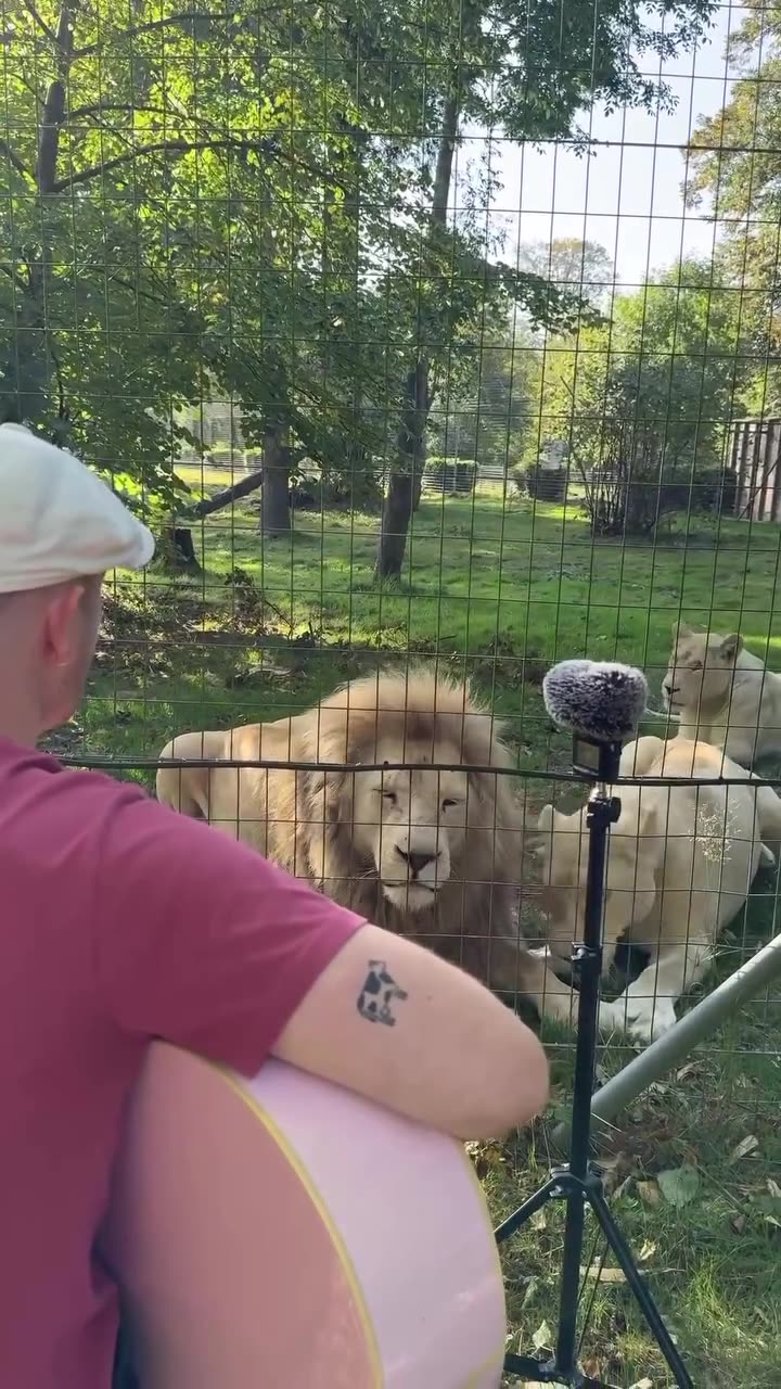 AMAZING 🤩 SUNDAY 11/30/25