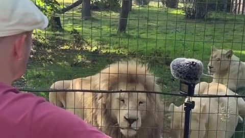 AMAZING 🤩 SUNDAY 11/30/25