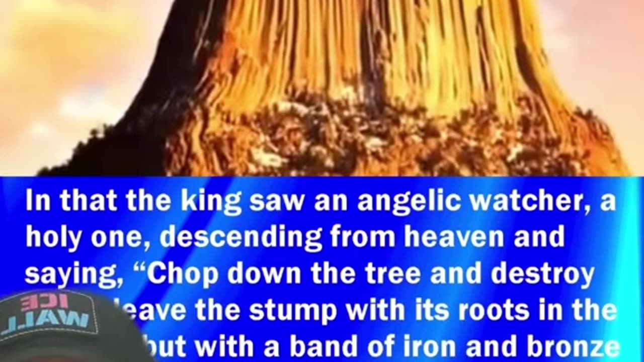 🌲 Giant Trees & Giants — The Evidence They Don’t Want You to See