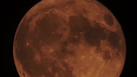 Daily Horoscope | Scorpio 🌟