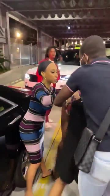 Wild animals attack, gas station