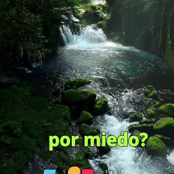 😊 239 “TU CAMINO SE ABRE MIENTRAS AVANZAS” Salmo 119:105 😊