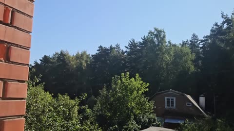 ВОЛКИ В ОВЕЧЬЕЙ ШКУРЕ...