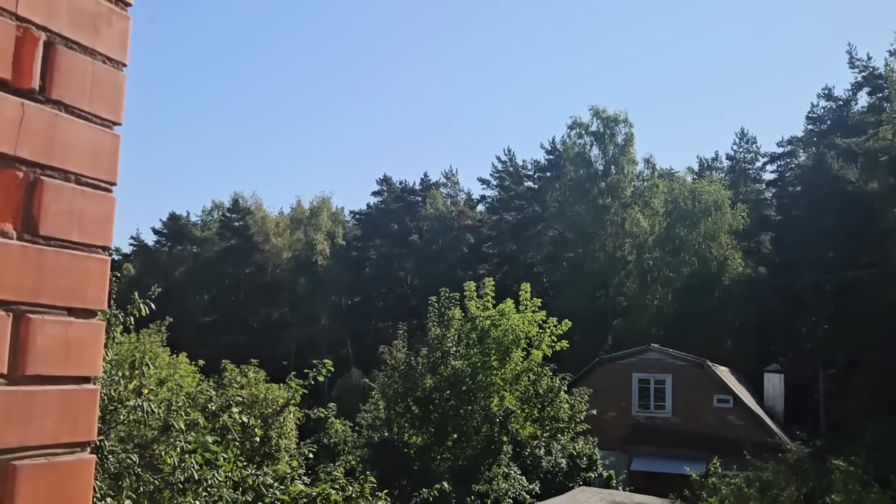 ВОЛКИ В ОВЕЧЬЕЙ ШКУРЕ...