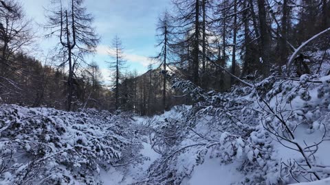 Trupejevo poldne in Kresišče | čudovita krožna tura | best hikes in Slovenia