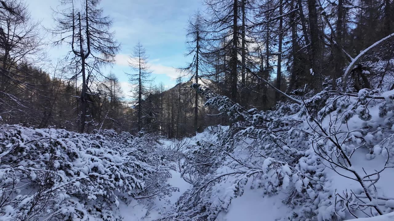 Trupejevo poldne in Kresišče | čudovita krožna tura | best hikes in Slovenia