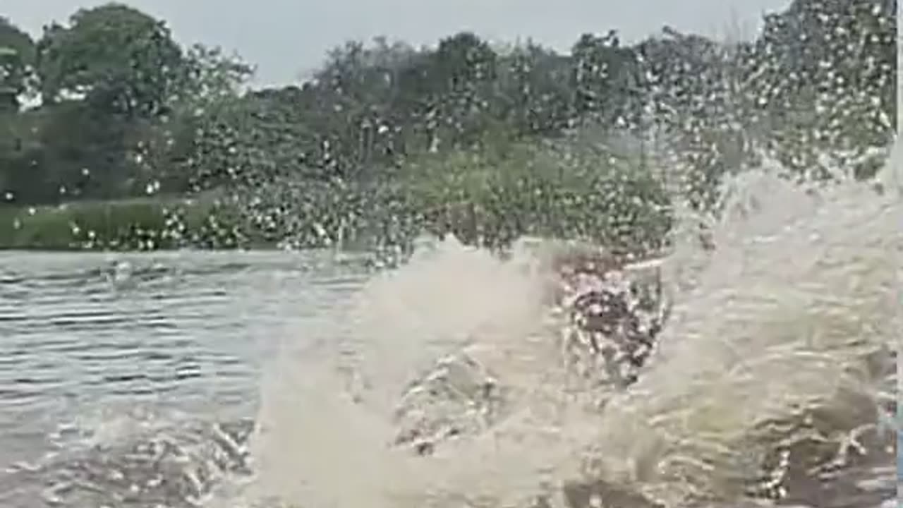 Wow Huge Fish