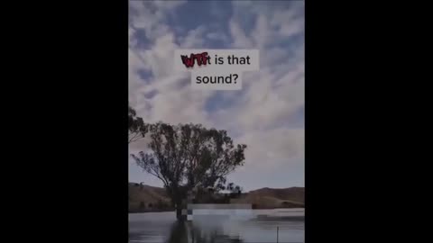 Ce son étrange a été entendu au fin fond de l'arrière-pays australien.