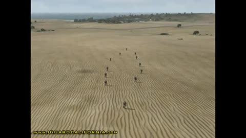 Basic Training Basics-Movement Techniques Part 1