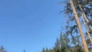 🤣💥 They Failed Successfully?! Wait For The Epic Fail Turnaround! | FunFM