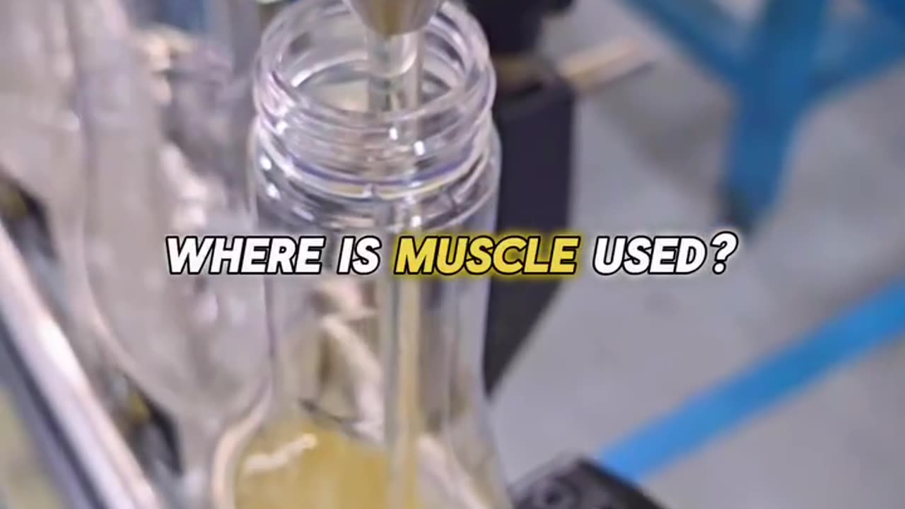 Where is Muscle Used?